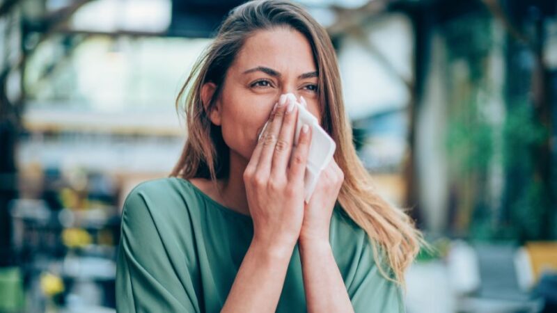 Hidden Allergy Triggers in your Home – 2024 Update