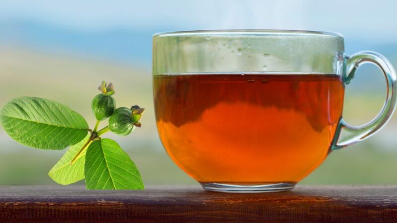 What is Guava Leaf Tea and Its Benefits?