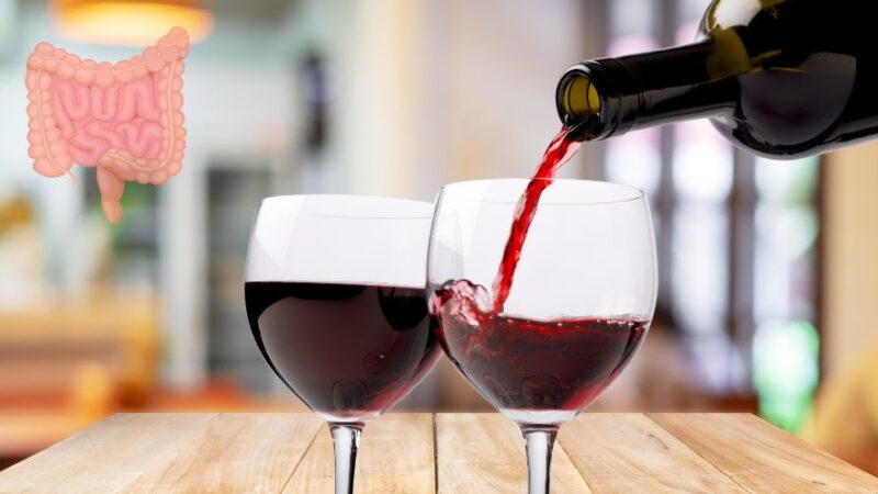 Is Red Wine Good for Gut Health?