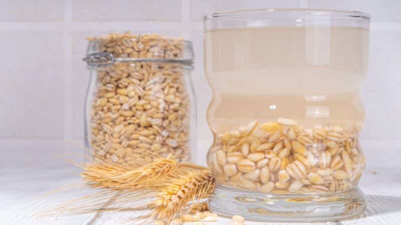 Why Is Barley Water Trending as a Weight Loss Drink?