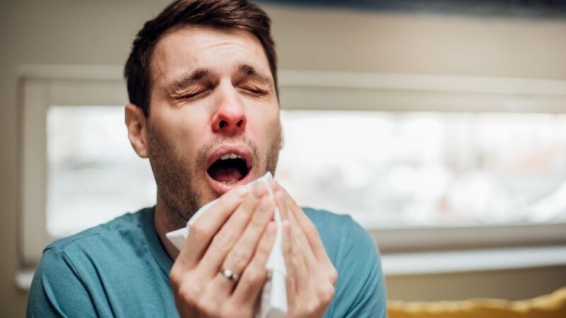 Why Do You Sneeze So Much? Common Allergy Triggers Explained