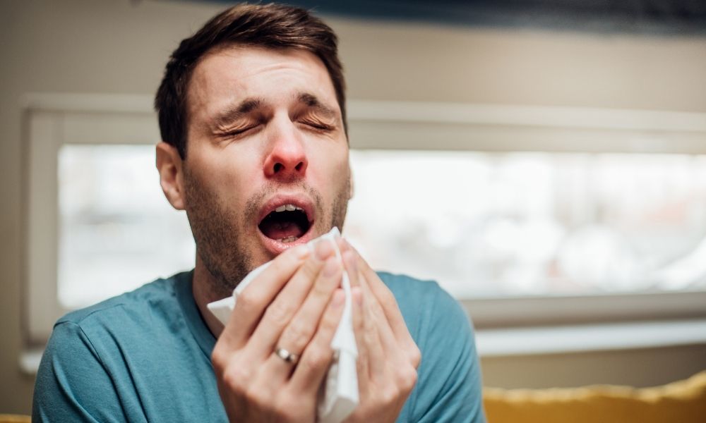 Why Do You Sneeze So Much? Common Allergy Triggers Explained